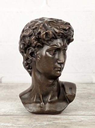 Бюст Давид (Микеланджело) Бюст Давид (Микеланджело)